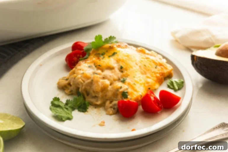 Homestyle Creamy Chicken Enchilada Bake 6 A serving of creamy chicken enchilada casserole on a dinner plate, beautifully garnished with fresh cilantro and surrounded by halved cherry tomatoes.