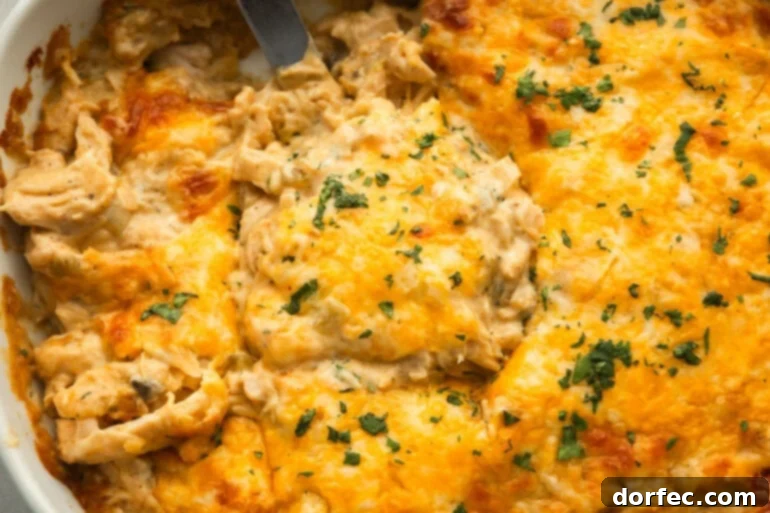 Homestyle Creamy Chicken Enchilada Bake 7 A spatula lifting a perfect serving of creamy chicken enchilada casserole from a baking dish, highlighting the rich, layered texture.