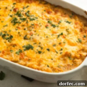 A golden baked chicken enchilada casserole topped with melted cheese and sprinkled with cilantro