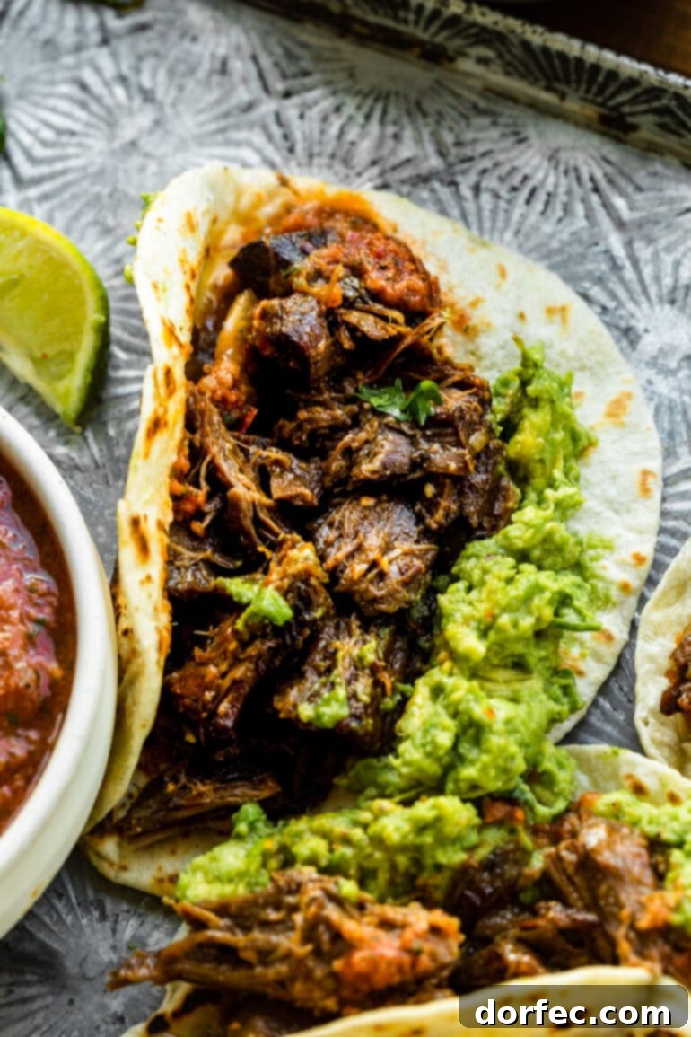 A photo of a flour tortilla piled high with juicy Mexican shredded beef and creamy guacamole, ready to be enjoyed.