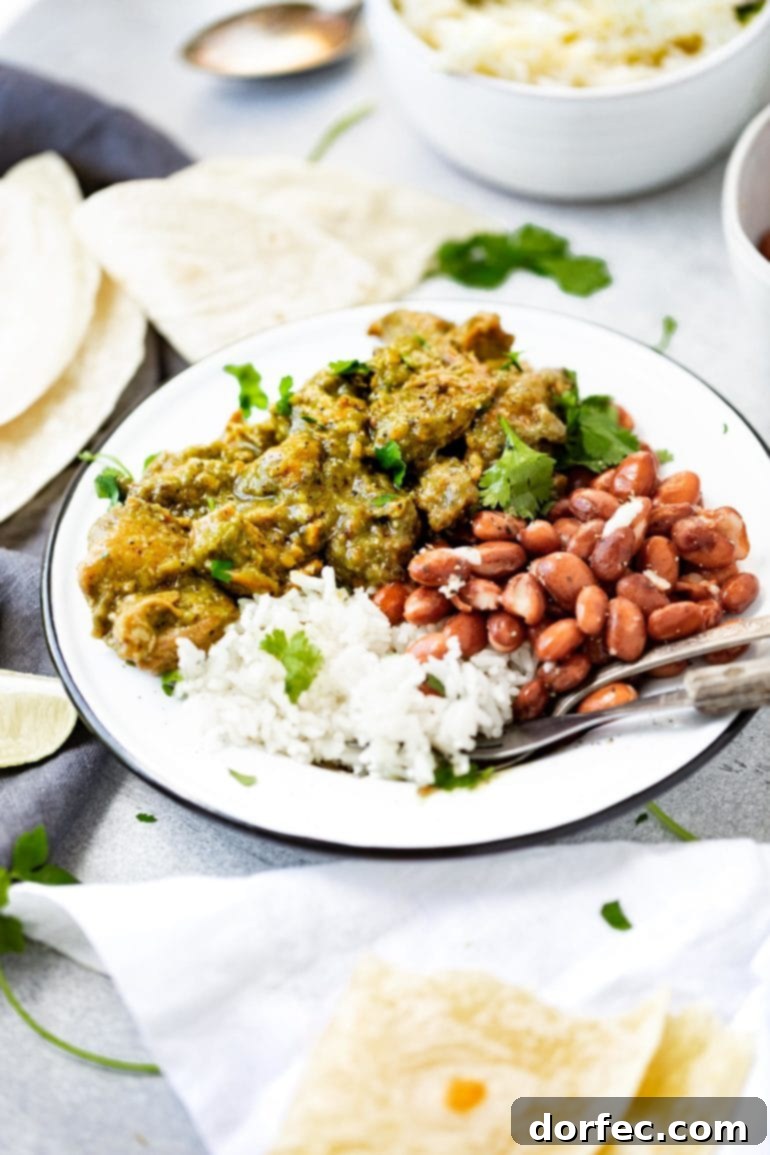 A savory Pork Chile Verde dish, featuring tender pieces of pork simmered in a tasty sauce made from roasted chiles and tomatillos. It's often served over rice with a side of beans.