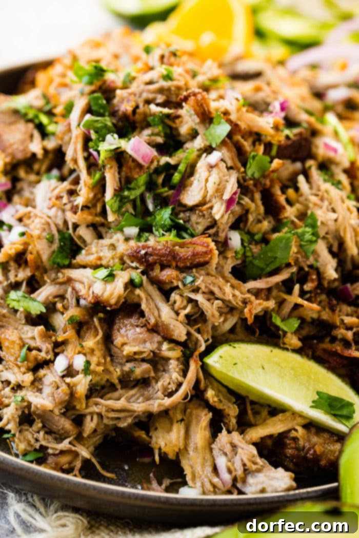 A generous mound of crispy, shredded pork carnitas, beautifully arranged on a dark gray plate and topped with fresh cilantro, vibrant red onions, spicy slices of jalapeño, and zesty lime wedges.