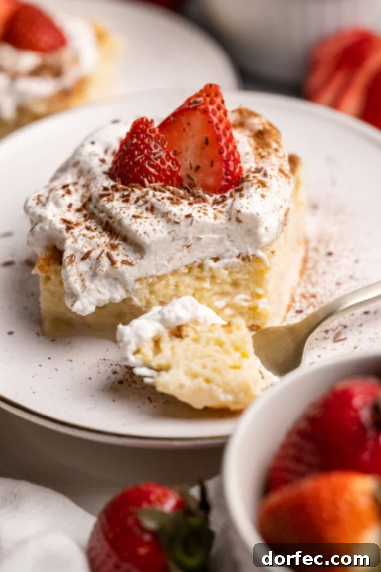 A slice of perfectly soaked Tres Leches Cake, garnished with fresh berries and a dollop of whipped cream.