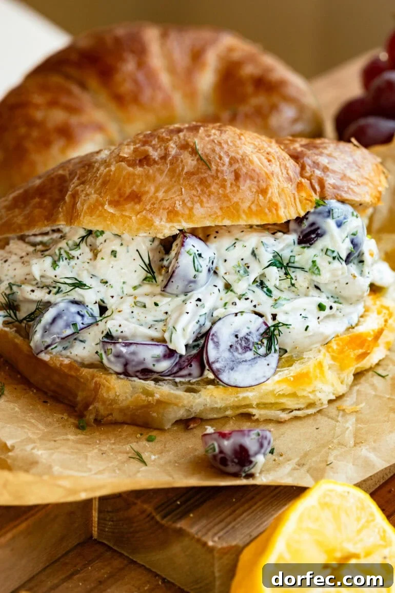 Top-down shot of chicken salad croissant sandwich filled with shredded chicken and fresh herbs.
