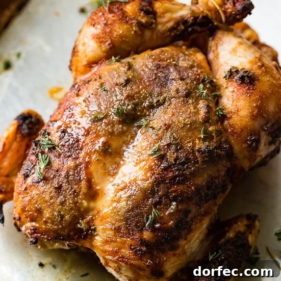 Whole smoked chicken