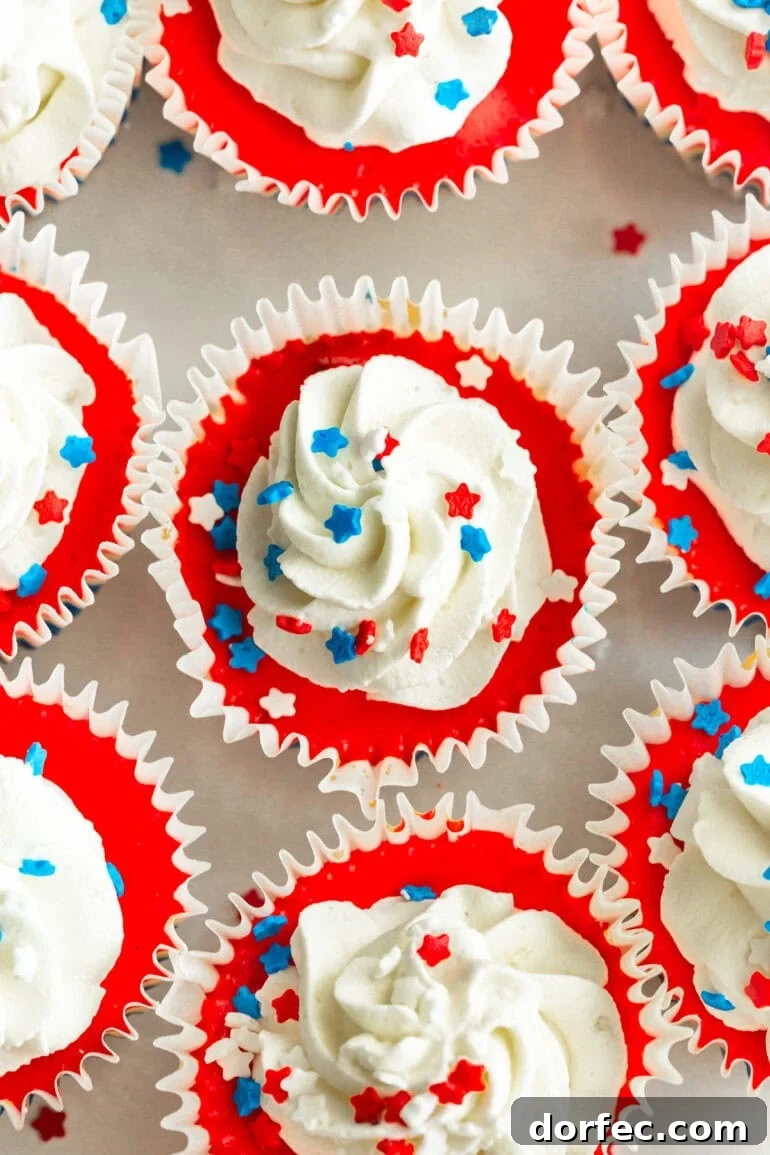 an overhead shot of a plate full of layered red, white, and blue cheesecakes with a swirl of whipped cream and patriotic star sprinkles