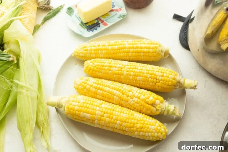 four ears of bright yellow corn sitting on a large dinner plate