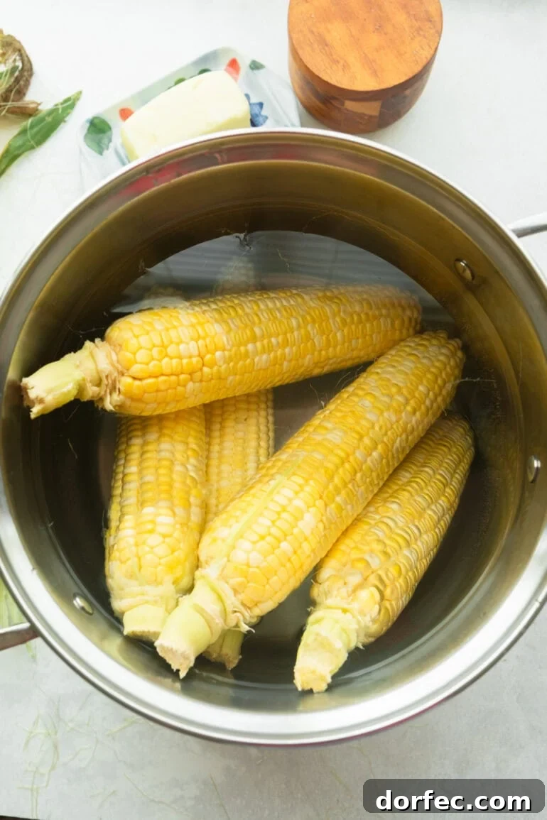 five ears of corn sitting in a large stock pot full of water