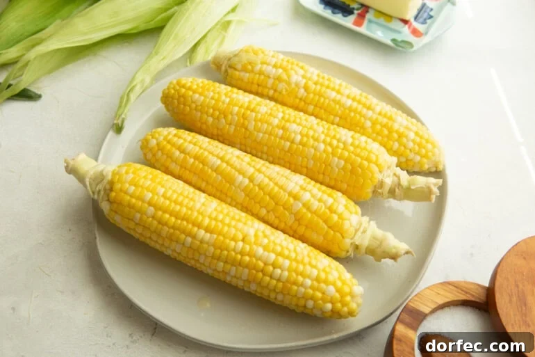 four ears of corn sitting on a dinner plate with bright yellow kernels