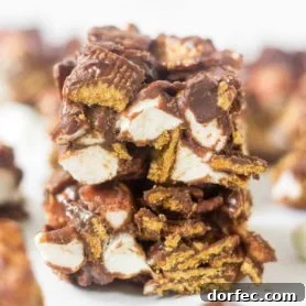No bake s'mores bars