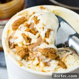 Scoops of Biscoff cookie butter ice cream with cookie crumbles