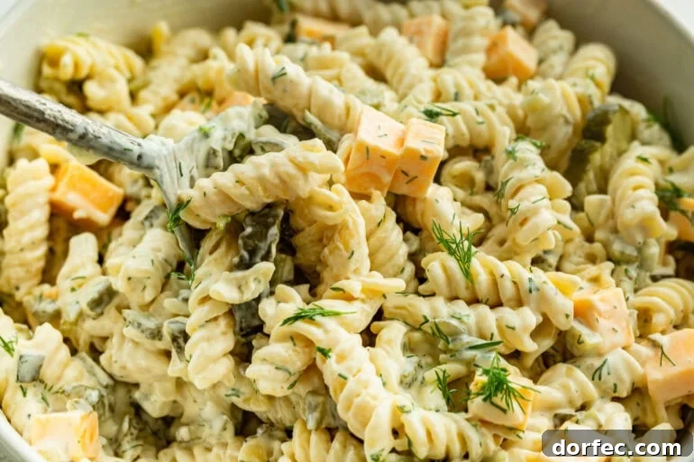 A close up of dill pickle pasta salad with pasta in a creamy sauce, pickles, cheddar cheese, and garnished with dill.